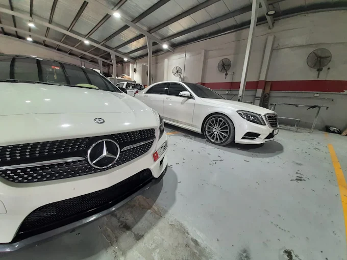 Paint Protection
